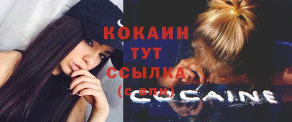 ГАЛЛЮЦИНОГЕННЫЕ ГРИБЫ Наволоки