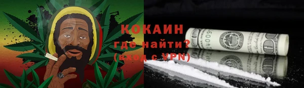 ГАЛЛЮЦИНОГЕННЫЕ ГРИБЫ Наволоки
