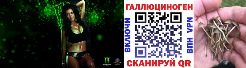 Псилоцибиновые грибы мицелий  Курск 