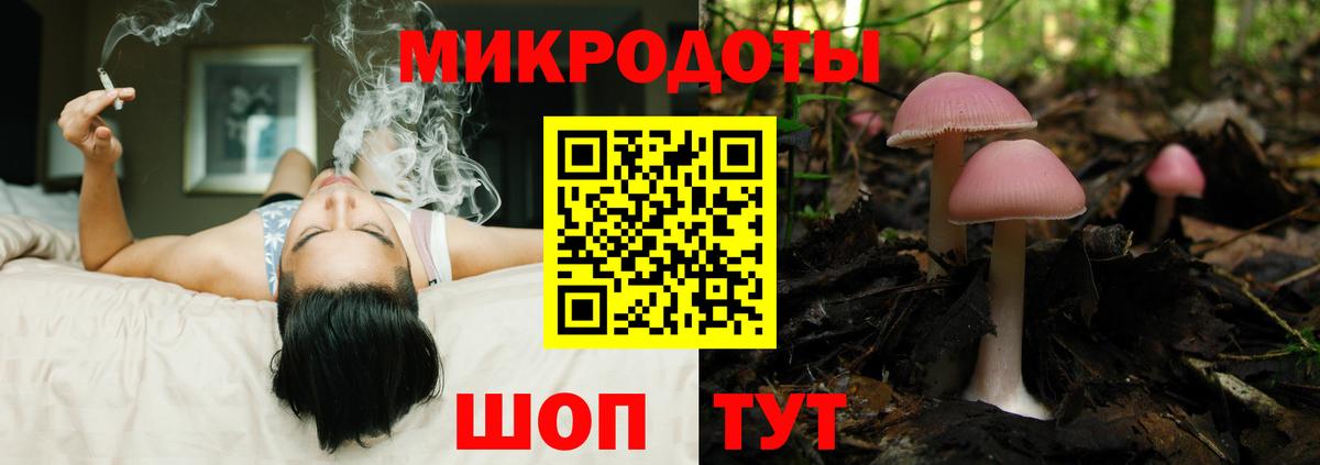 Псилоцибиновые грибы Psilocybe Курск